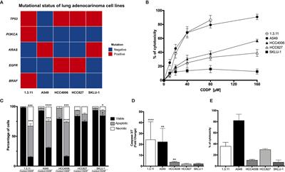 Role of HMGB1 in Cisplatin-Persistent Lung Adenocarcinoma Cell Lines